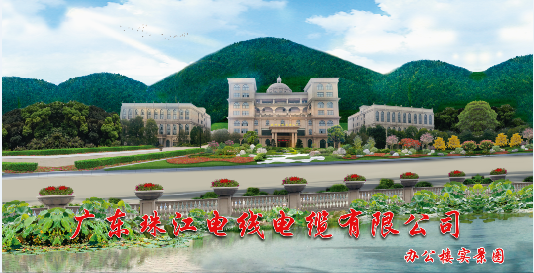 宝武钢铁集团领导专家莅临J9官网电缆参观交流