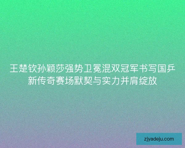 王楚钦孙颖莎强势卫冕混双冠军书写国乒新传奇赛场默契与实力并肩绽放
