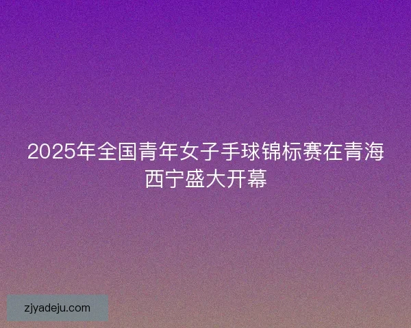 2025年全国青年女子手球锦标赛在青海西宁盛大开幕