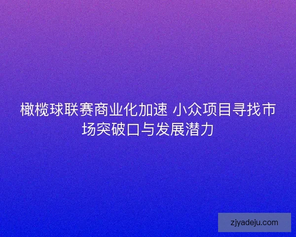 橄榄球联赛商业化加速 小众项目寻找市场突破口与发展潜力