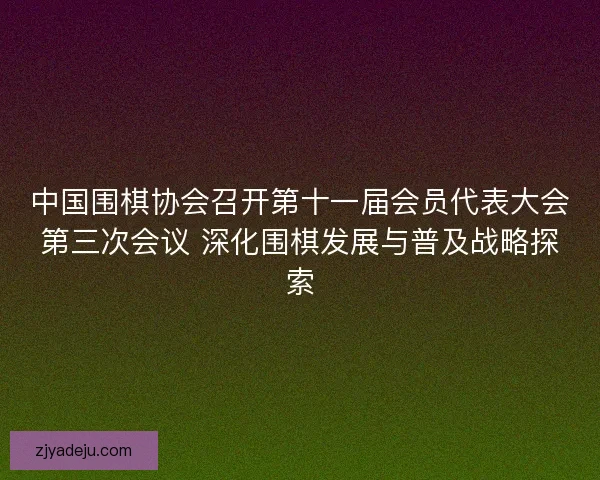 中国围棋协会召开第十一届会员代表大会第三次会议 深化围棋发展与普及战略探索